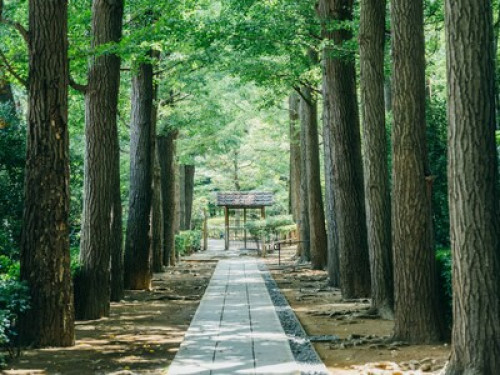 Home in Tokyo - Gallery - 32