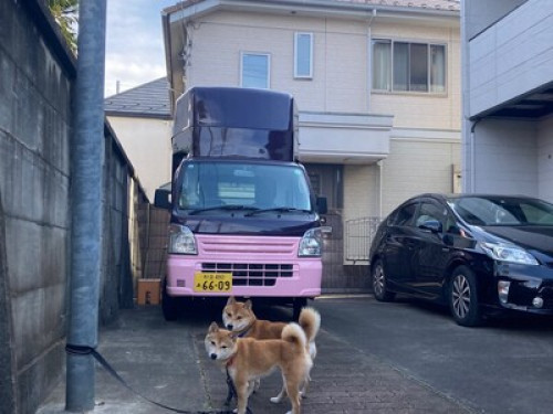 Home in Tokyo - Gallery - 17