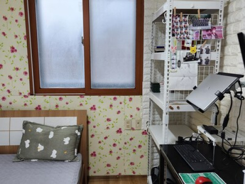 서울대, 한국 요리, 한국 문화 체험, 조용하고 깨끗한 집