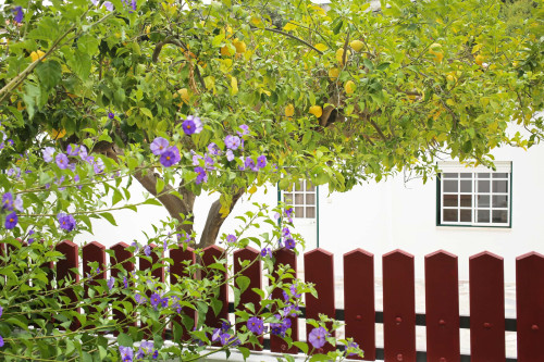 Bright 200 m² Apartment in Beco da Ribeira, Setúbal (pets allowed)