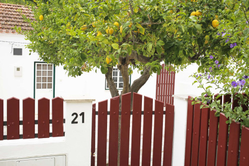 Bright 200 m² Apartment in Beco da Ribeira, Setúbal (pets allowed)