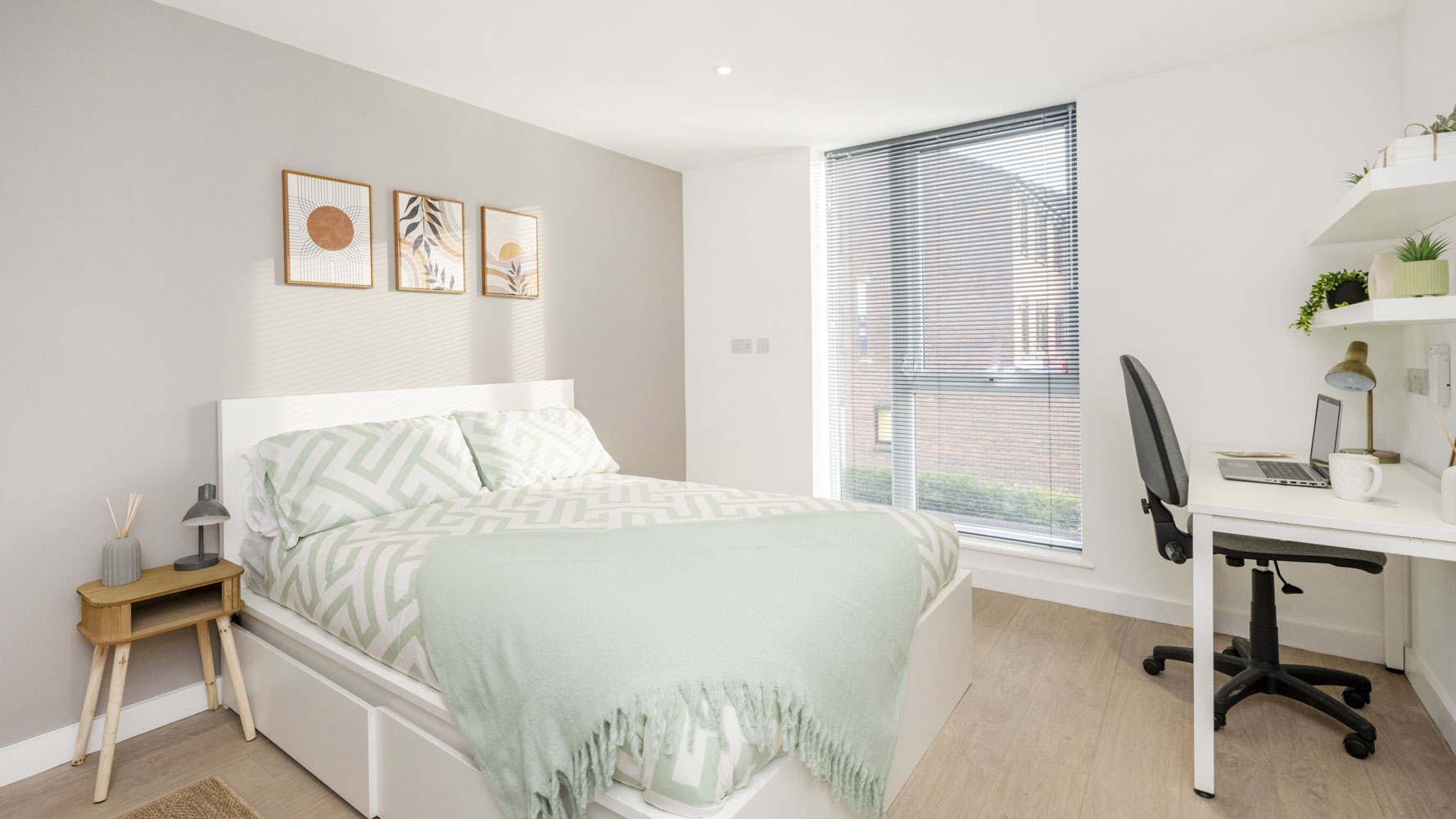  Premium Studio  -  Sizer Court  - Gallery -  4