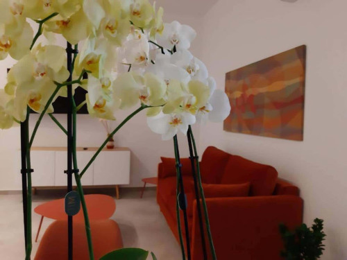 Via San Cosmo - Eunice - Gallery - 15