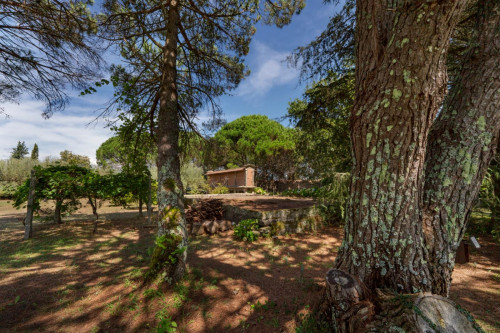 Epic 6 Bedroom House close to Areia - Darque Train Station - Gallery - 29