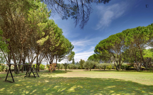 Epic 6 Bedroom House close to Areia - Darque Train Station - Gallery - 31