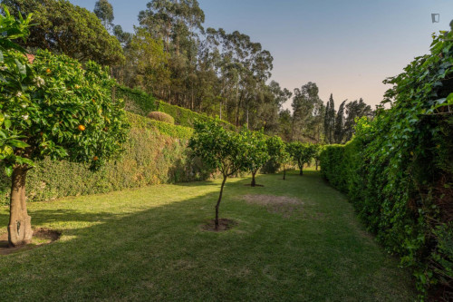 Very elegant 4-bedroom apartment in Geraz do Lima - Gallery - 24