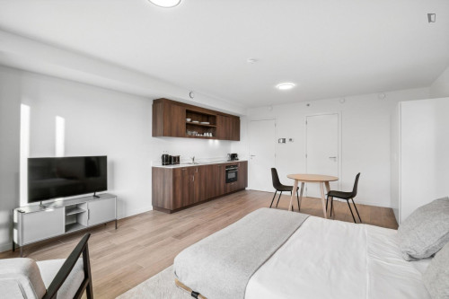Charming studio in cool apartment complex near Brussels-North train station - Gallery - 16