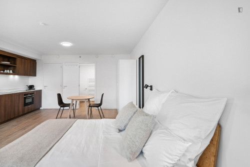 Charming studio in cool apartment complex near Brussels-North train station - Gallery - 17