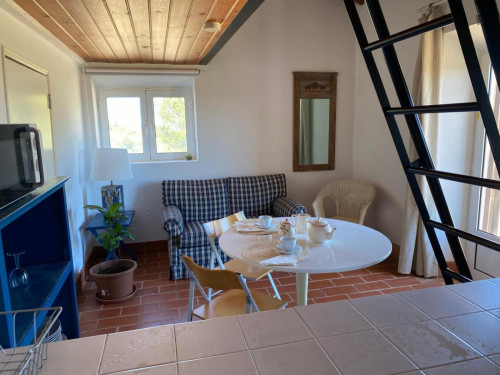 Comfortable and welcoming house in Espinhaço de Cão - Gallery - 3