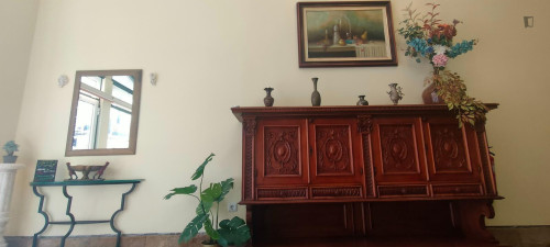 Charming 1-bedroom flat in the bustling city centre of Faro - Gallery - 9