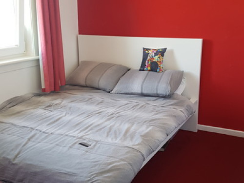 warm-friendly-family-home-edinburgh-165531053120250110055748AM