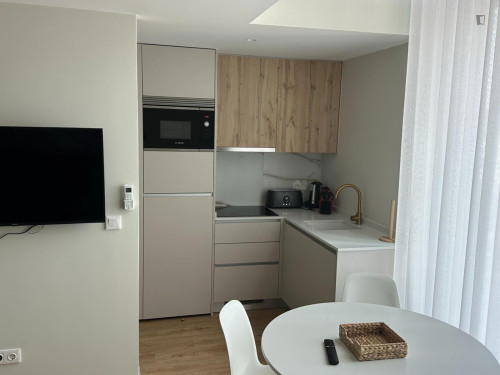 Very nice 1-bedroom apartment in Vila Nova de Gaia with parking