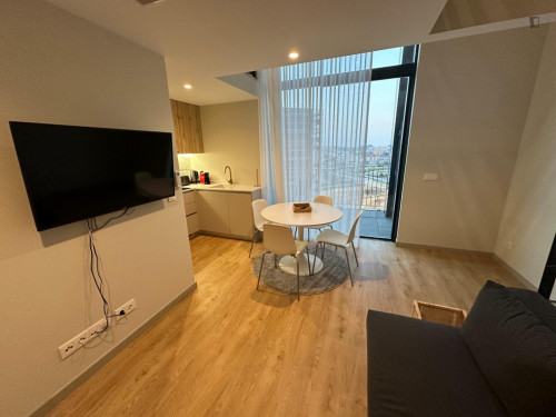 Very nice 1-bedroom apartment in Vila Nova de Gaia with parking
