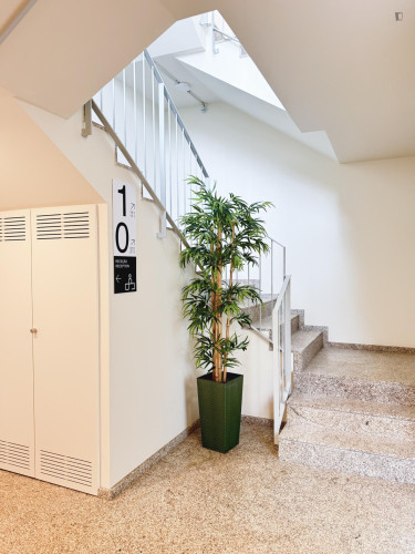 Studio, with outdoor area - Gallery - 5