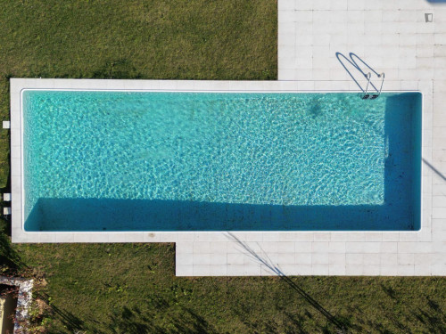 Breezy and modern 2-bedroom flat in Quebrantões - Gallery - 17