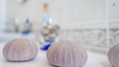 Charming 1-bedroom apartment in Venezia Nuova