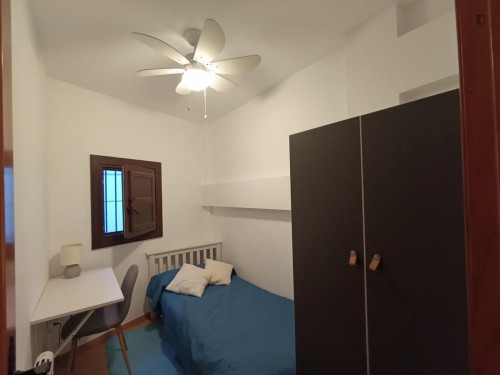 Exciting 3 Bedroom House close to Jardines del Triunfo City Park - Gallery - 12