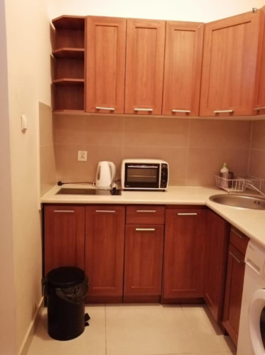 Pleasant 2-bedroom flat in the Stradom neighbourhood  - Gallery -  5