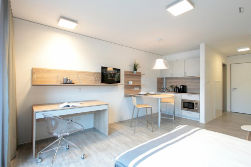 Delightful studio in Derendingen