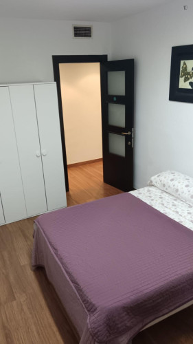 Nice single bedroom in a shared flat near the Universidad de Murcia: Campus de la Merced