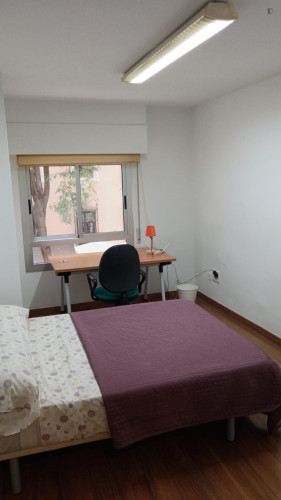 Nice single bedroom in a shared flat near the Universidad de Murcia: Campus de la Merced