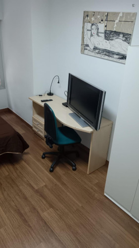 Cosy single bedroom in a shared flat near the Universidad de Murcia: Campus de la Merced