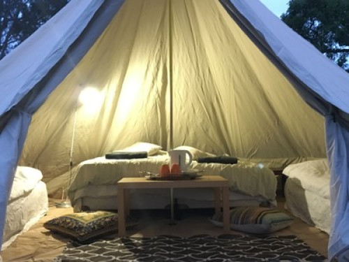 New rooms in bush/vineyard setting