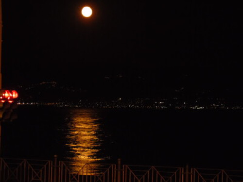 sailing & surfing by the sea