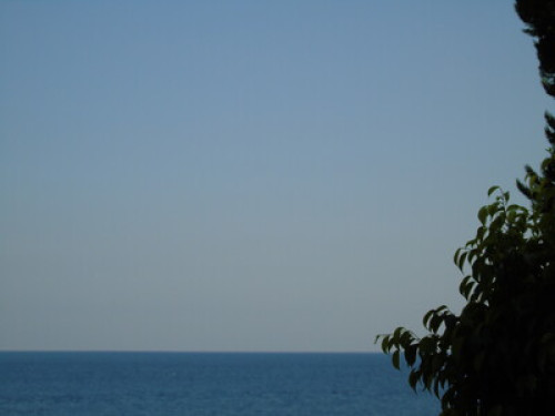 sailing & surfing by the sea