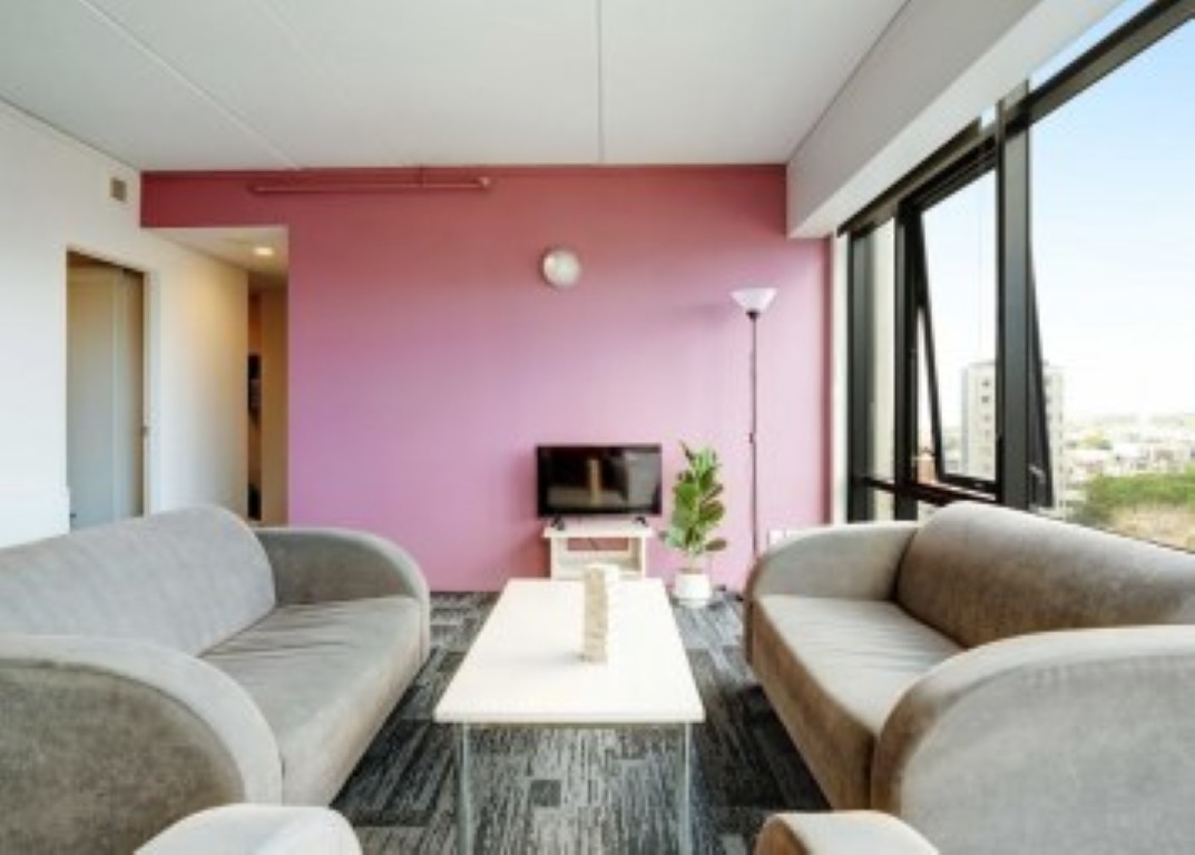 Room In A 4 Bedroom Apartment Standard - Wellesley Apartments - Gallery - 3