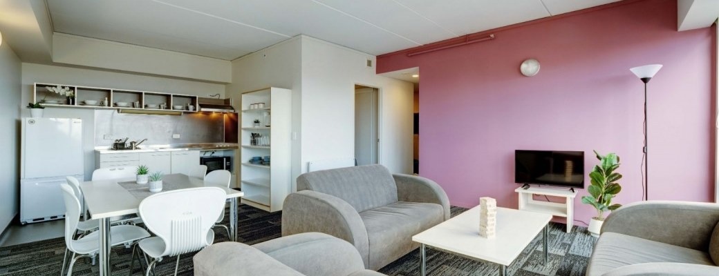  Room In A 5 Bedroom Apartment Large  -  Wellesley Apartments  - Gallery -  4