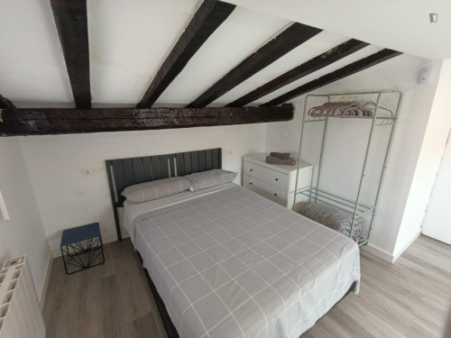 Moderno estudio en buhardilla en Calle San Cosme - Centro