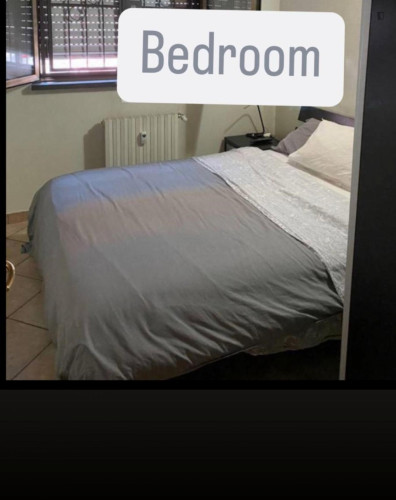 Entire Apartment