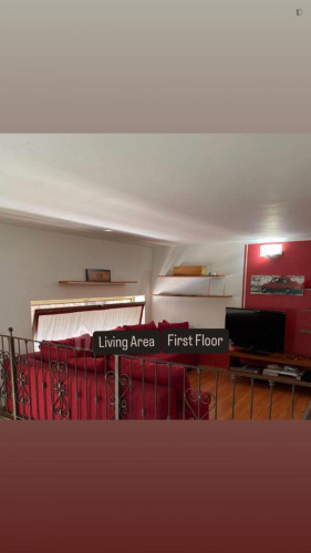 Entire Apartment