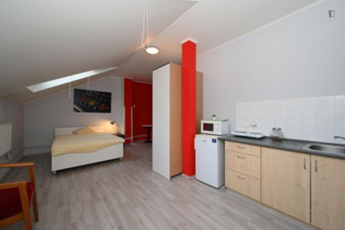 Spacious studio near the Parukářka park
