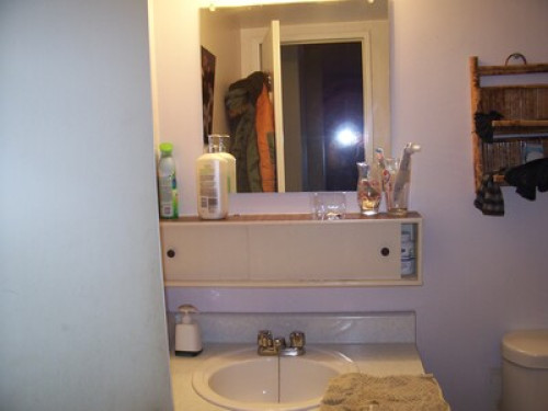Roommate Wanted