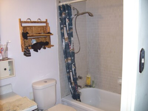 Roommate Wanted