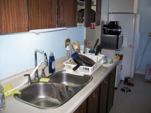 Roommate Wanted  - Gallery -  5