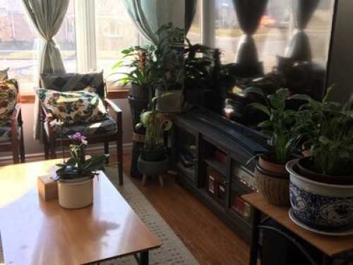 one bedroom for the student - Gallery - 7