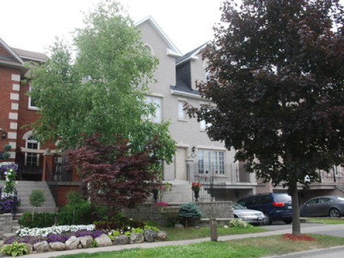 Sara's Place - Strictly Kosher Home - Gallery - 14