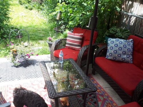 İnternational  Students prefered!