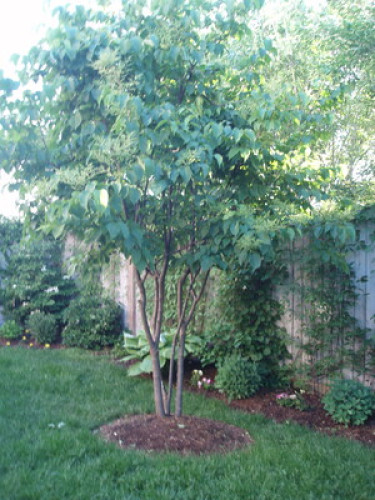 Comfort & convenience at your door