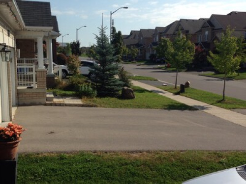 family friendly close to transit