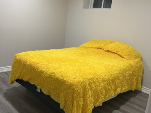 One bedroom in the basement 