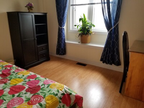 Home stay in Richmond hill