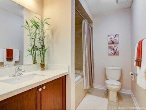 Home stay in Richmond hill