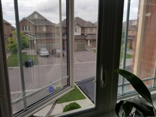Home stay in Richmond hill