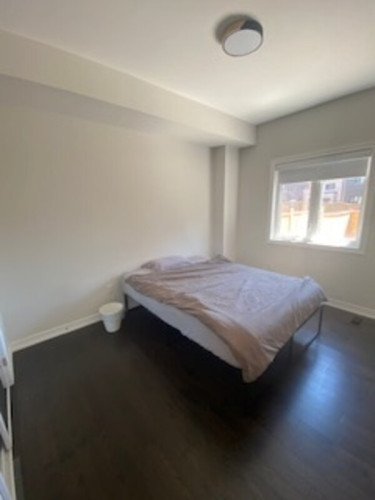 A loving home with lots of pets
