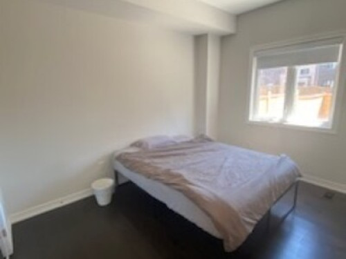 A loving home with lots of pets