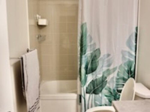 A loving home with lots of pets